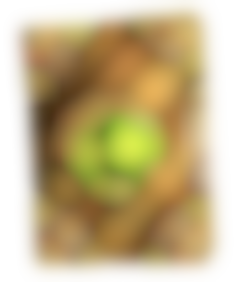 Große Ereignisse werfen ihre Schatten voraus